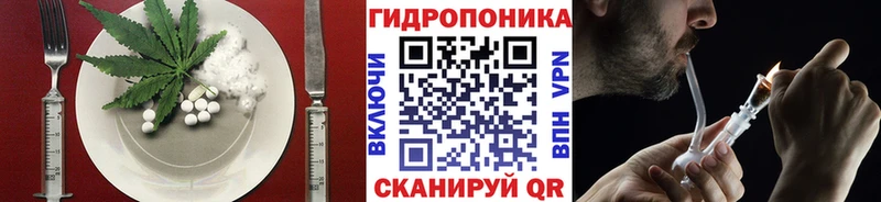 Cannafood конопля  Купить закладки  Новоаннинский 