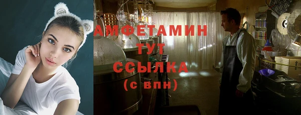 тгк Лагань