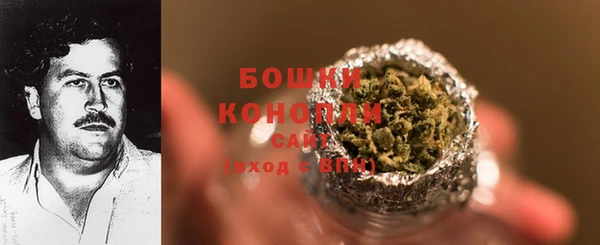 тгк Лагань