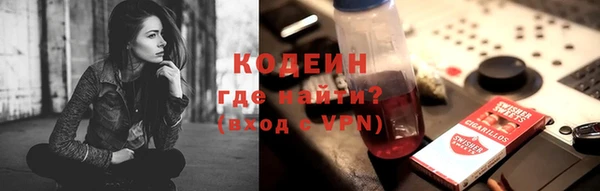 тгк Лагань