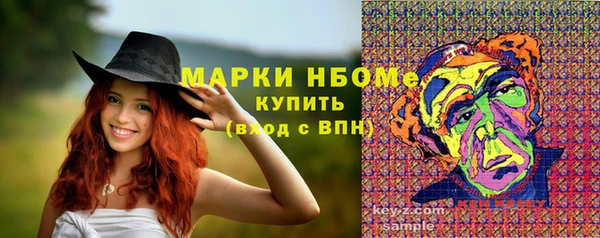 гашик Лабытнанги