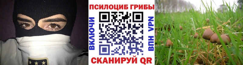 Псилоцибиновые грибы Magic Shrooms  Купить закладки  Новоаннинский 